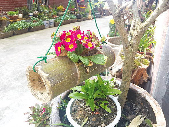 源东老人变废为宝 巧手打造生态庭院