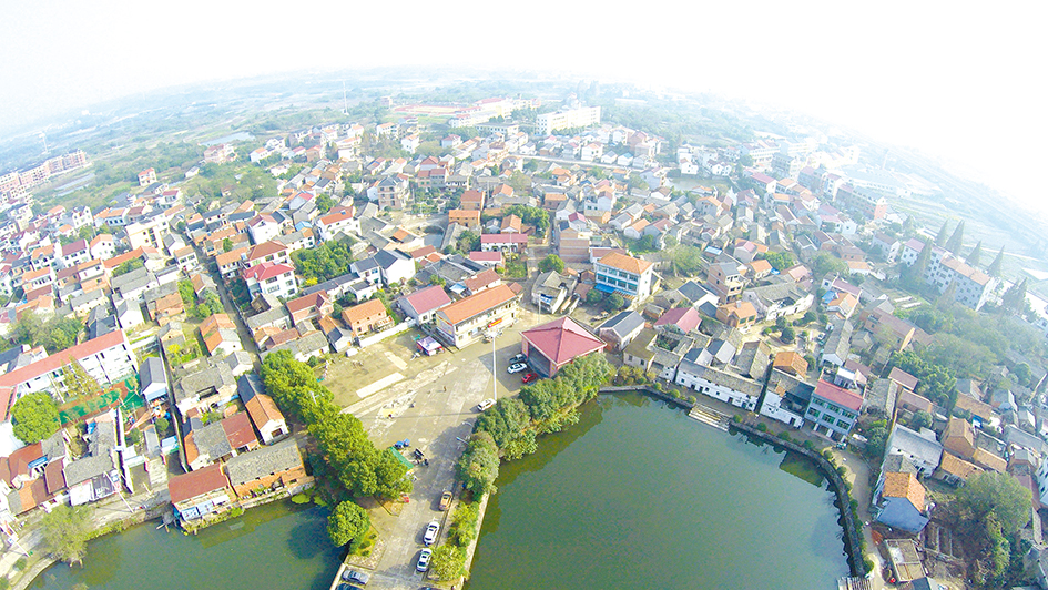 塘雅镇农业战略推进乡村振兴